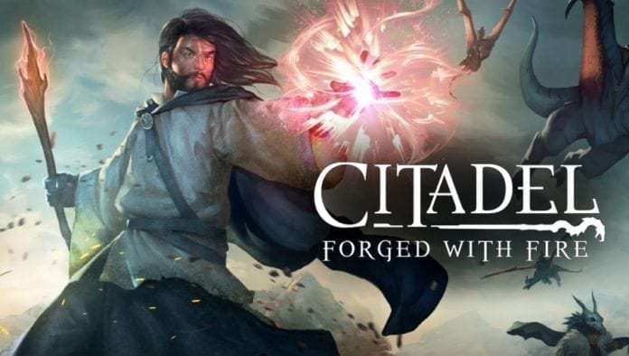 Citadel forged with fire читы