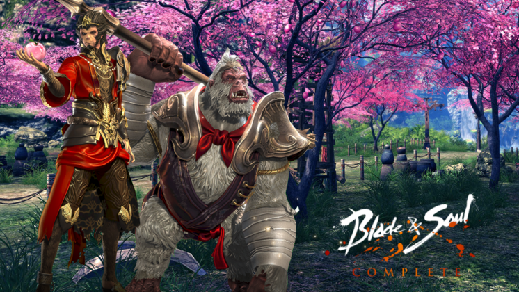 blade and soul online graphics optimization